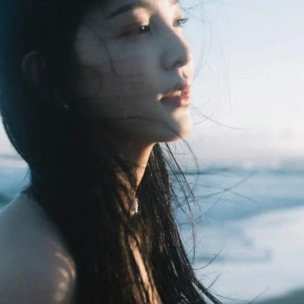 护国驸马爷一国驸马护山河